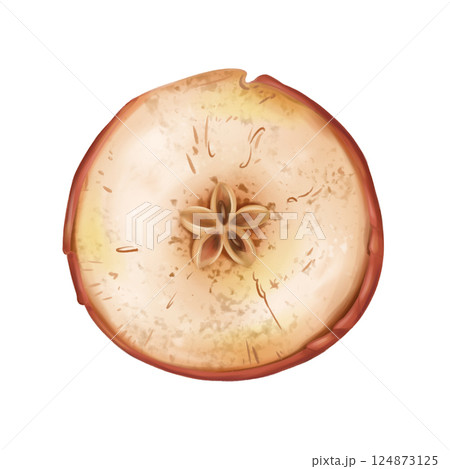 Dry apple slice. Ripe fruit for healthy snacks, culinary dishes, healthy snacks. Natural dessert from a farmer's harvest. Organic decoration for home, sustainable xmas. Isolated digital illustration 124873125