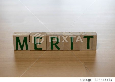 文字ブロック　MERIT メリット 124873313