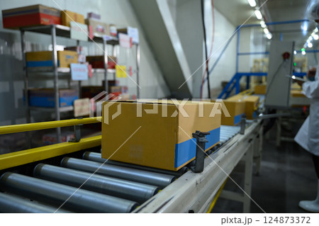Conveyor belt system transporting cardboard boxes in modern food manufacturing plant Conveyor belt system transporting cardboard boxes in modern food manufacturing plant 124873372