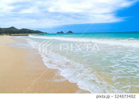 ハワイの休日　オアフ島ベローズビーチ 124873482