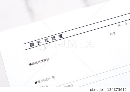 転職活動に欠かせない職務経歴書 124873612