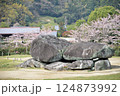 桜と石舞台 124873992