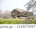 桜と石舞台 124873997