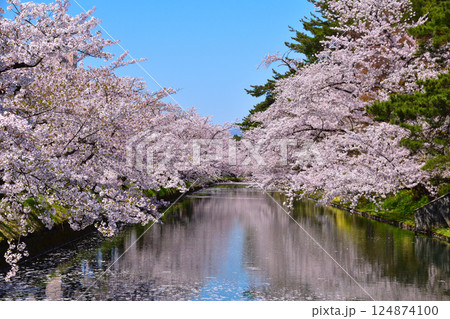 桜景 弘前城 桜景 弘前城 124874100