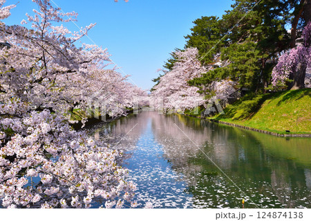 桜景　弘前城　 124874138