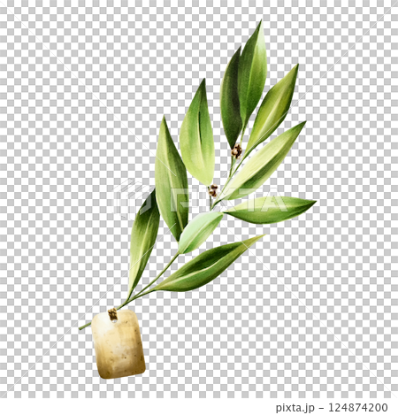 Green bay leaf with blank paper tag. Watercolor hand drawn Branch of laurel, Retro label illustration isolated on transparent background. For designers, menu, decoration, food blog, ecofriendly 124874200