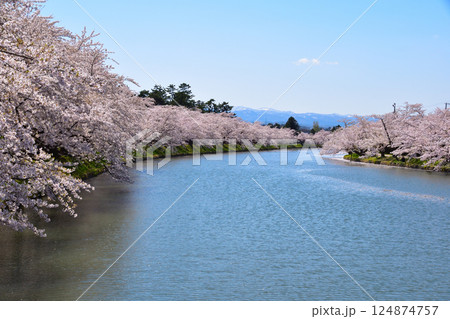桜景　弘前城　西濠 124874757
