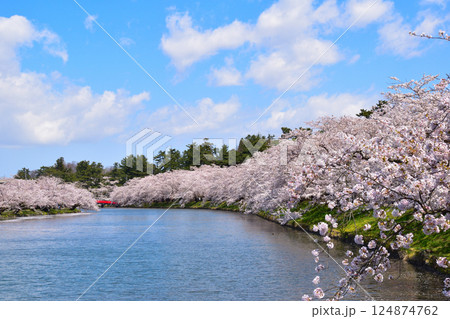 桜景　弘前城　西濠 124874762