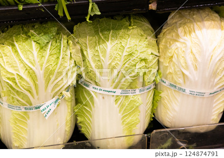 ハワイのスーパーマーケットの野菜売り場　白菜 124874791