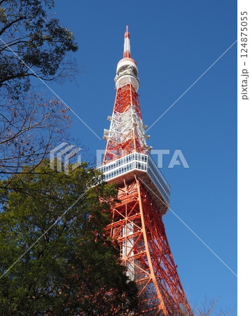 東京タワーと青空 東京タワーと青空 124875055