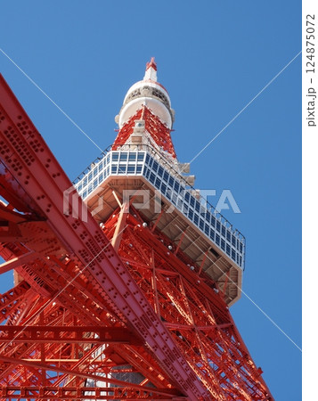 青空と東京タワー 124875072