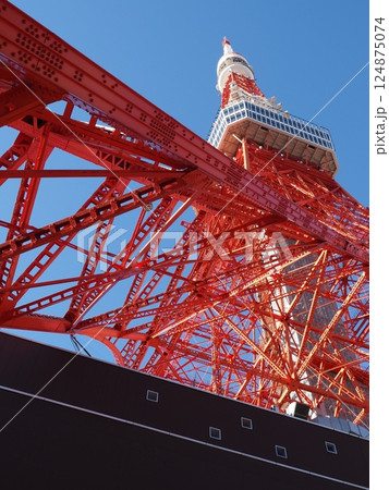 青空と東京タワー 124875074