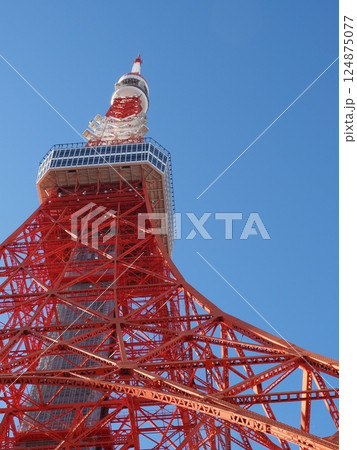 青空と東京タワー 124875077