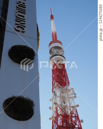 東京タワーとビル　 124875080