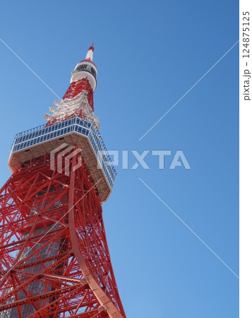青空と東京タワー 124875125