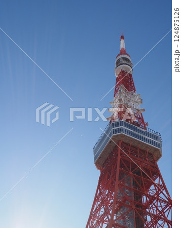 青空と東京タワー 124875126