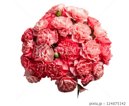 母の日カーネーションの花束ブーケ俯瞰 124875142