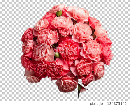 母の日カーネーションの花束ブーケ俯瞰 124875142