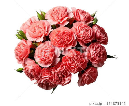 母の日カーネーションの花束ブーケ俯瞰 124875143
