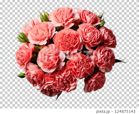 母の日カーネーションの花束ブーケ俯瞰 124875143