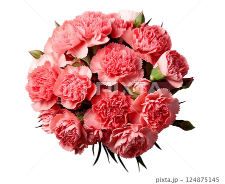 母の日カーネーションの花束ブーケ俯瞰 124875145