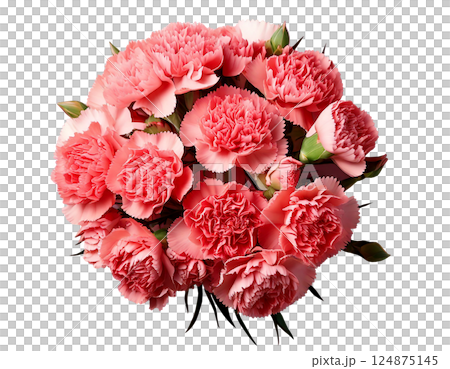 母の日カーネーションの花束ブーケ俯瞰 124875145