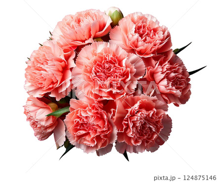 母の日カーネーションの花束ブーケ俯瞰 124875146