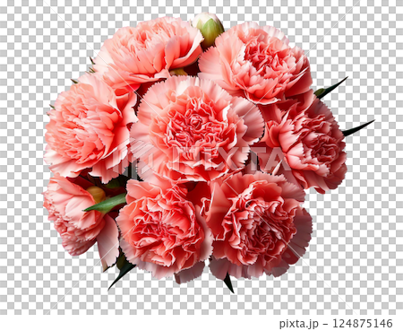 母の日カーネーションの花束ブーケ俯瞰 124875146