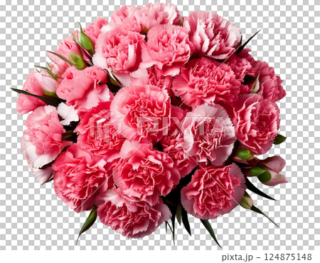 母の日カーネーションの花束ブーケ俯瞰 124875148