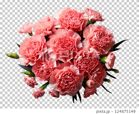 母の日カーネーションの花束ブーケ俯瞰 124875149