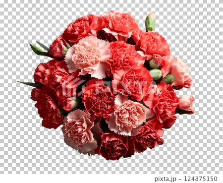 母の日カーネーションの花束ブーケ俯瞰 124875150