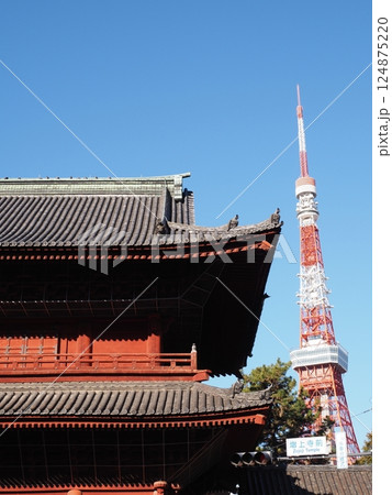 増上寺と東京タワー 増上寺と東京タワー 124875220