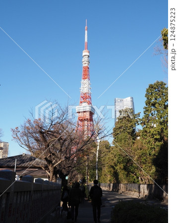 東京タワー 東京タワー 124875223