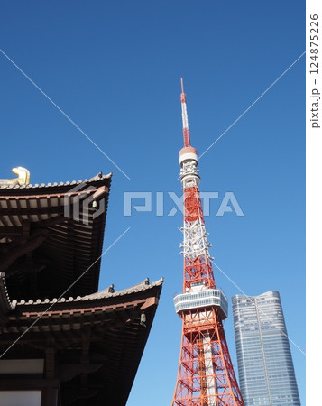 増上寺と東京タワー 増上寺と東京タワー 124875226