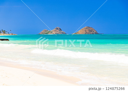 ハワイの休日　オアフ島ベローズビーチから望むモクルア島 124875266