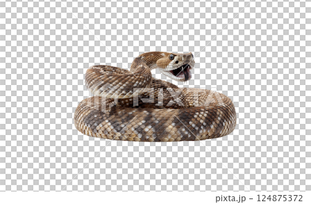 Coiled rattlesnake displaying raised rattle in natural setting during daylight hours 124875372