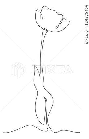 Beautiful Flower in One Continuous Line Drawing. Simple Minimalist Tulip in Linear Style. Vector Illustration. Hand Drawn Monoline. Editable stroke 124875456