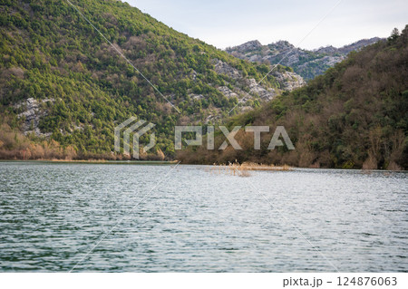 Trees and reeds on River Crnojevica, place near Lake Skadar in Montenegro surrounded by mountain peaks in winter time Trees and reeds on River Crnojevica, place near Lake Skadar in Montenegro surrounded by mountain peaks in winter time 124876063