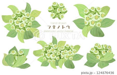 水彩でラフに描いたフキノトウのイラスト素材セット 124876436