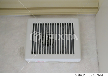 掃除前の換気扇 124876616
