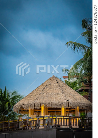 フィリピン　セブ　マクタン島の風景 124876677