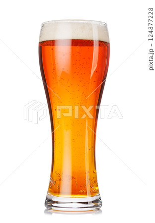 A glass of amber beer with frothy head, isolated on a clean white background A glass of amber beer with frothy head, isolated on a clean white background 124877228