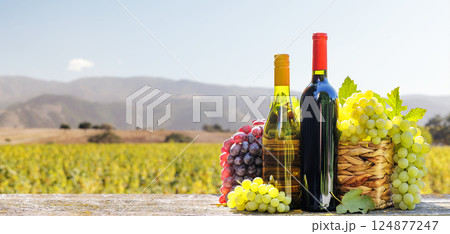 Red and white wine bottles with a grape basket, set against a picturesque vineyard landscape Red and white wine bottles with a grape basket, set against a picturesque vineyard landscape 124877247