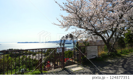 ラバーズヒルからの風景 ラバーズヒルからの風景 124877351