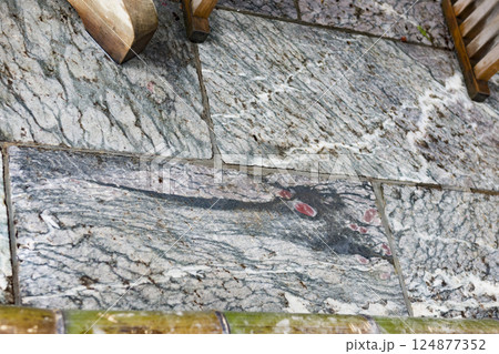 三峯神社浮かび上がる赤い眼の龍 三峯神社浮かび上がる赤い眼の龍 124877352