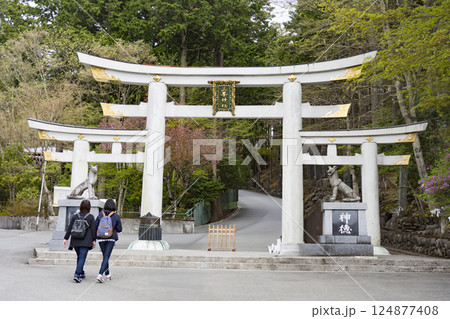 三峯神社三ツ鳥居 124877408