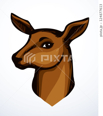 Beautiful noble deer. Vector drawing Beautiful noble deer. Vector drawing 124877613