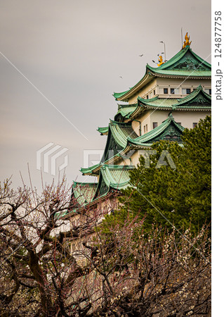 名古屋　名古屋城の風景 124877758