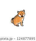 かわいい柴犬の子犬のイラスト 124877895