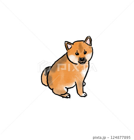 かわいい柴犬の子犬のイラスト かわいい柴犬の子犬のイラスト 124877895